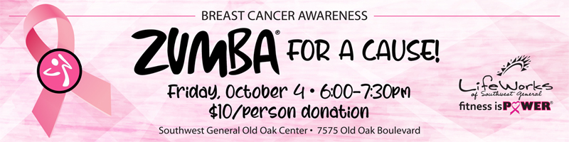 Zumba for a Cause Banner