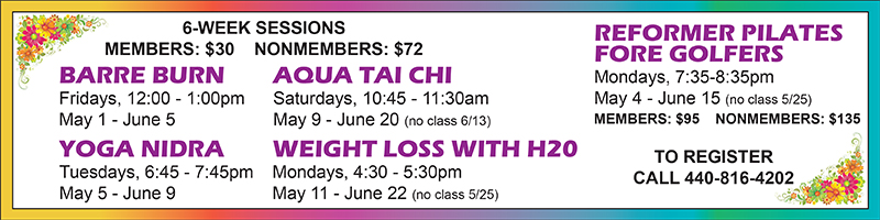 link to Spring Programming graphic